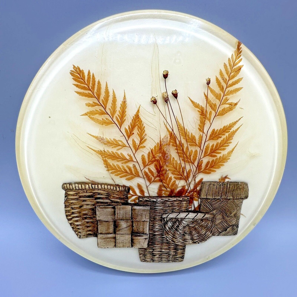 Vintage 7.75" MCM Lucite/Resin Dried Flower Fern Baskets Round Trivet 60's-70's